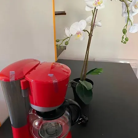 Apartment Annul *